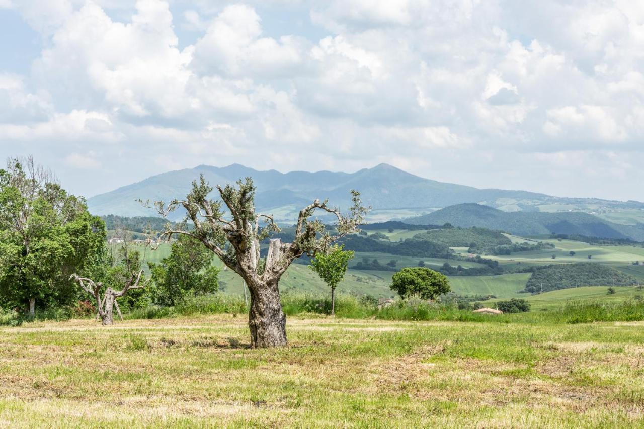 Dimora Schioppo - Irpinia Appartement Calitri Buitenkant foto