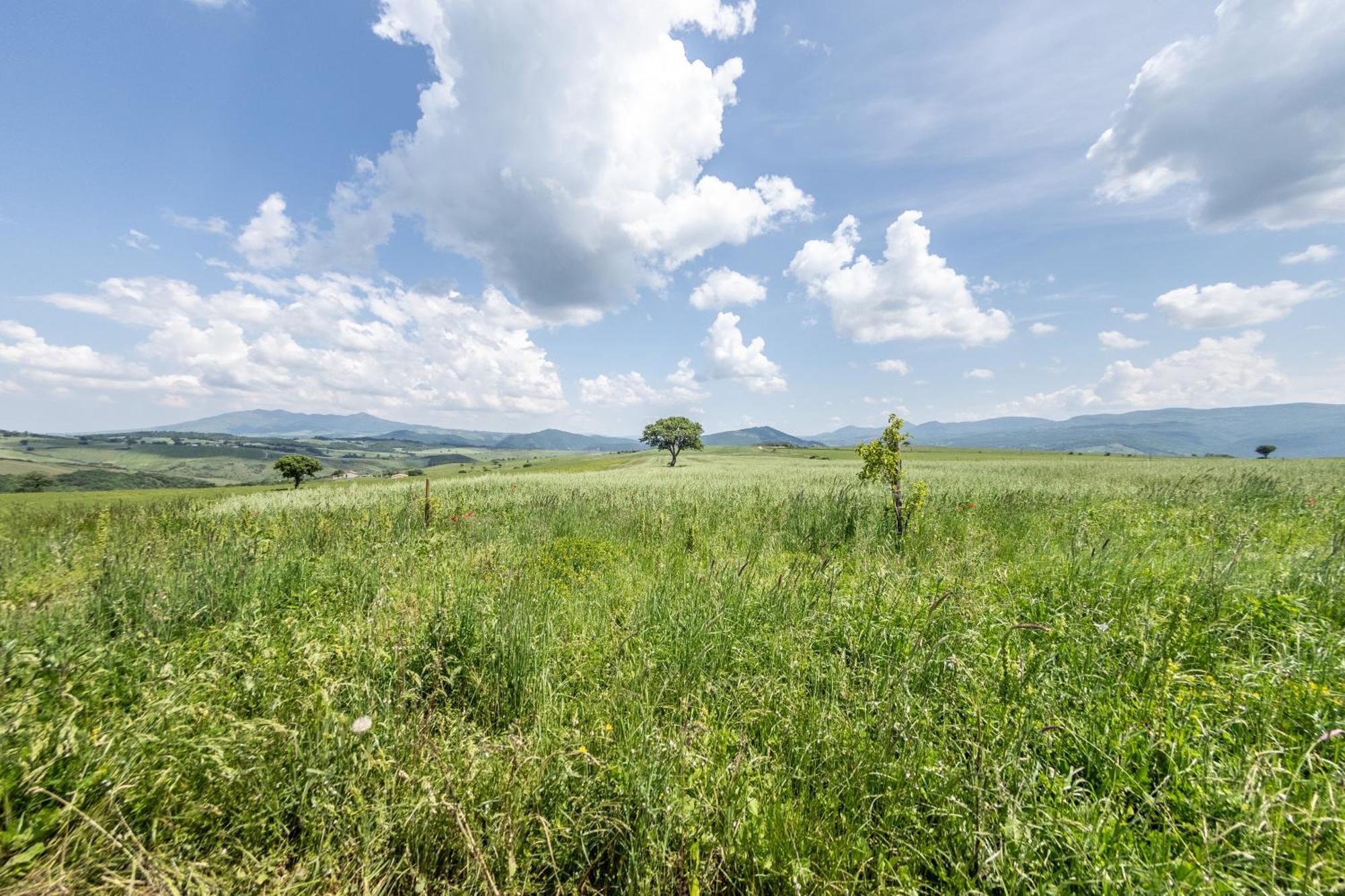 Dimora Schioppo - Irpinia Appartement Calitri Buitenkant foto